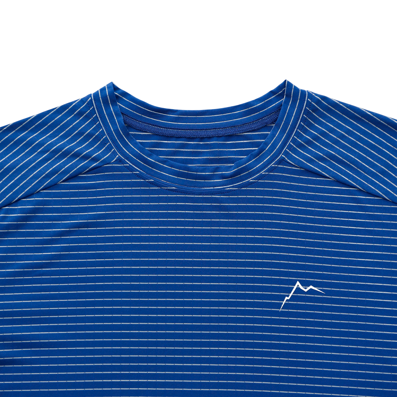 Stripe Logo Short Sleeve | Blue