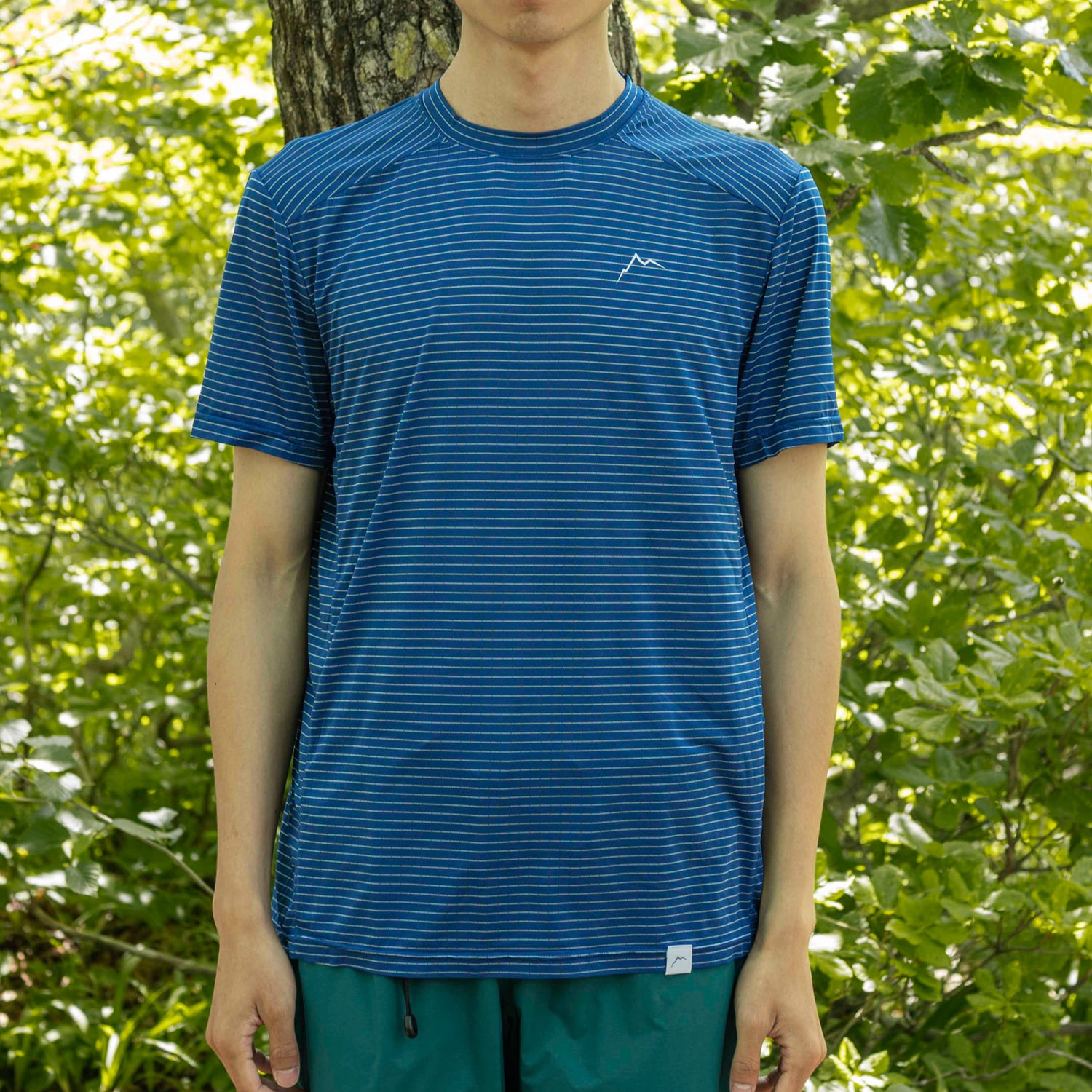 Stripe Logo Short Sleeve | Blue