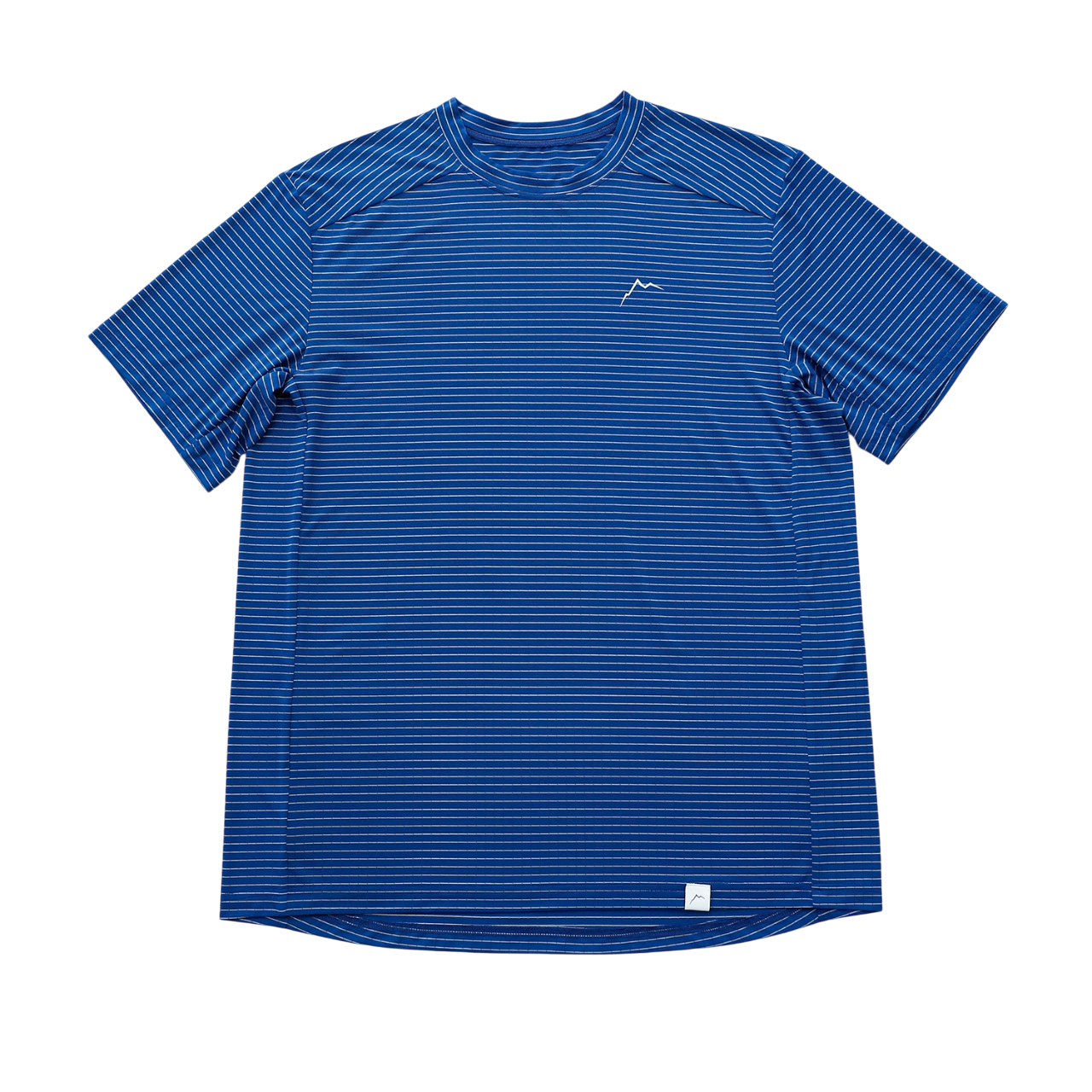 Stripe Logo Short Sleeve | Blue
