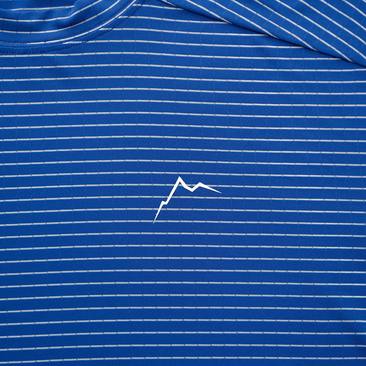 Stripe Logo Short Sleeve | Blue