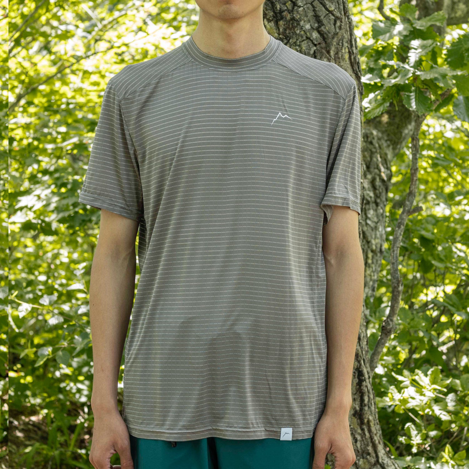 Stripe Logo Short Sleeve | Grey