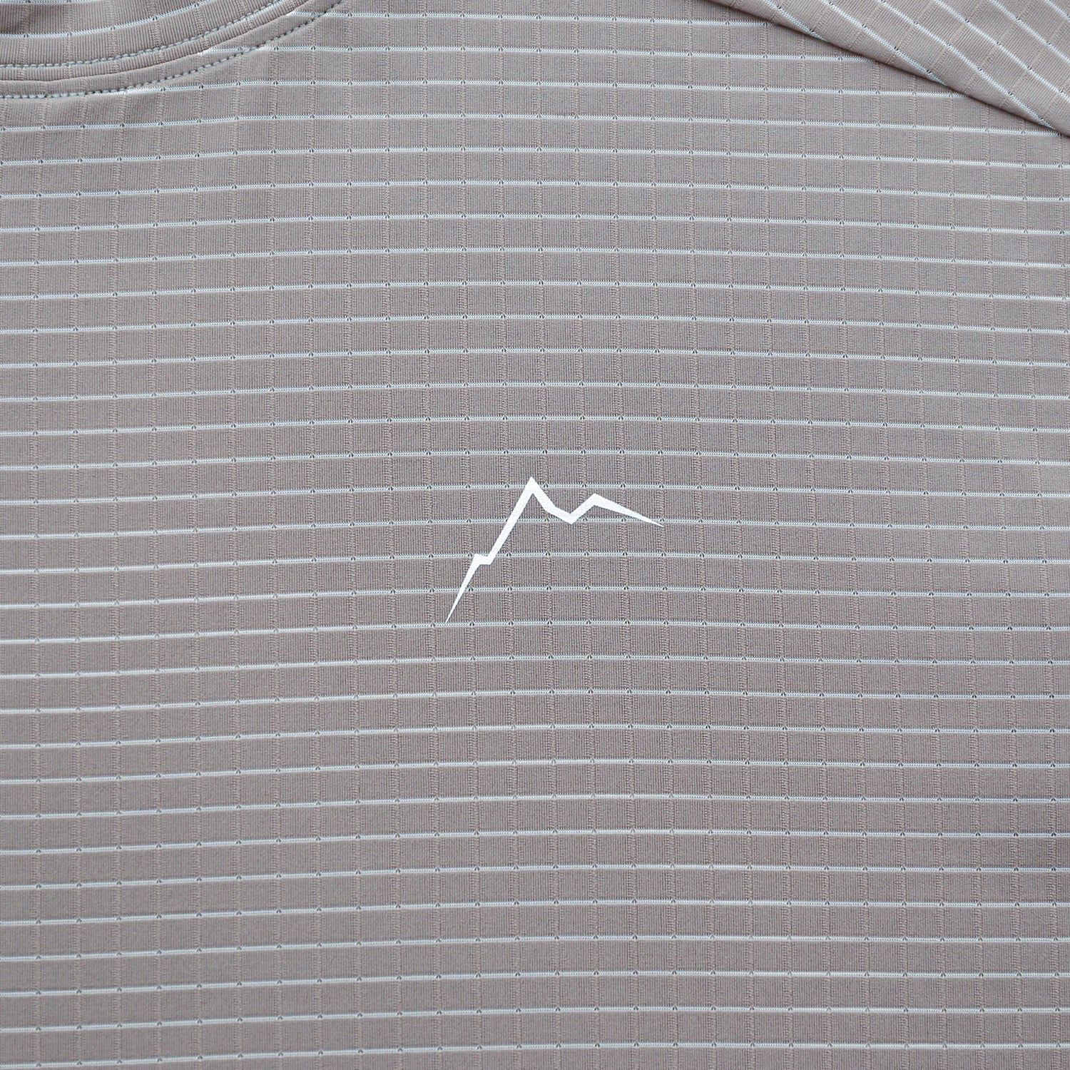 Stripe Logo Short Sleeve | Grey