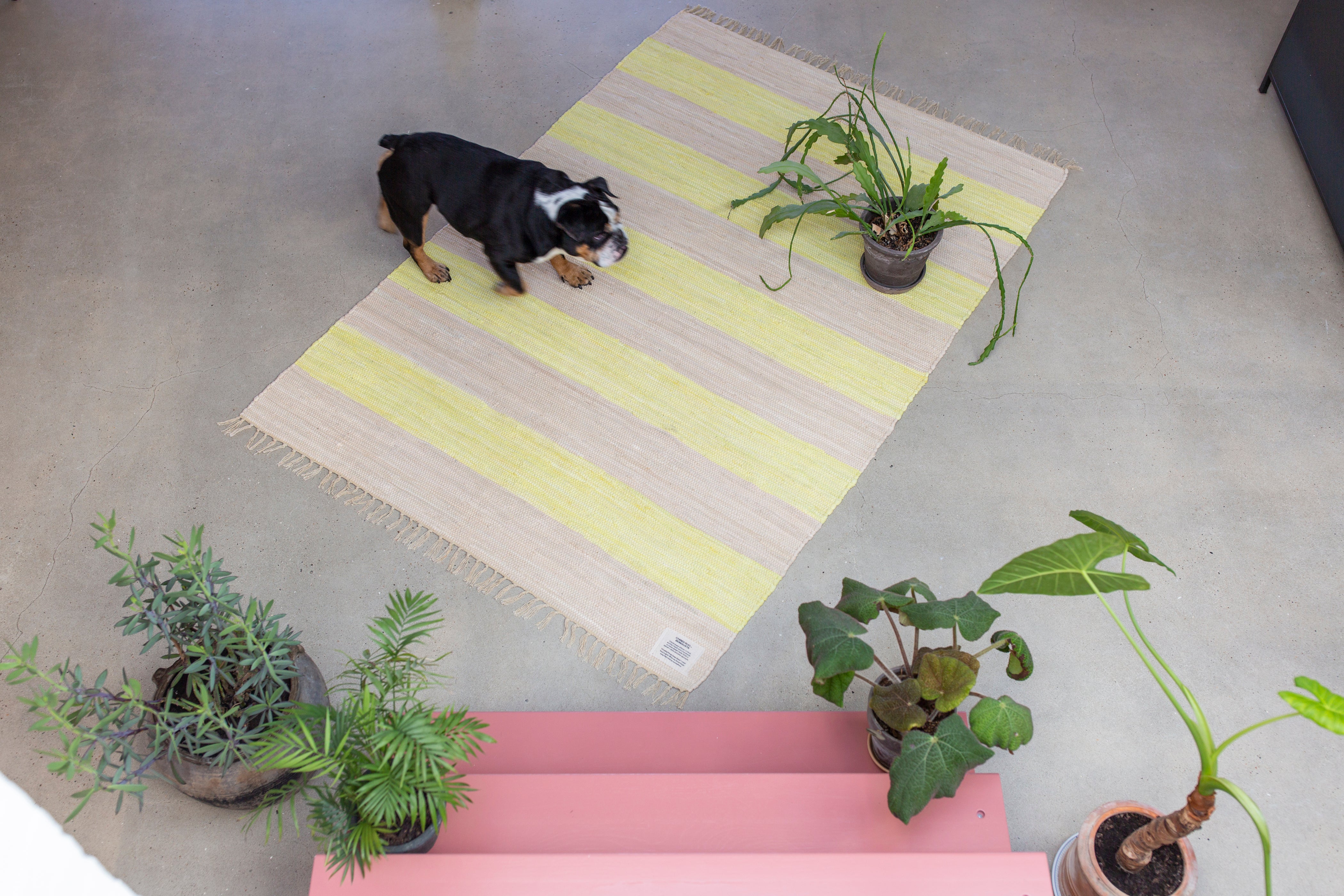 Chindi Rug, neon yellow & creme