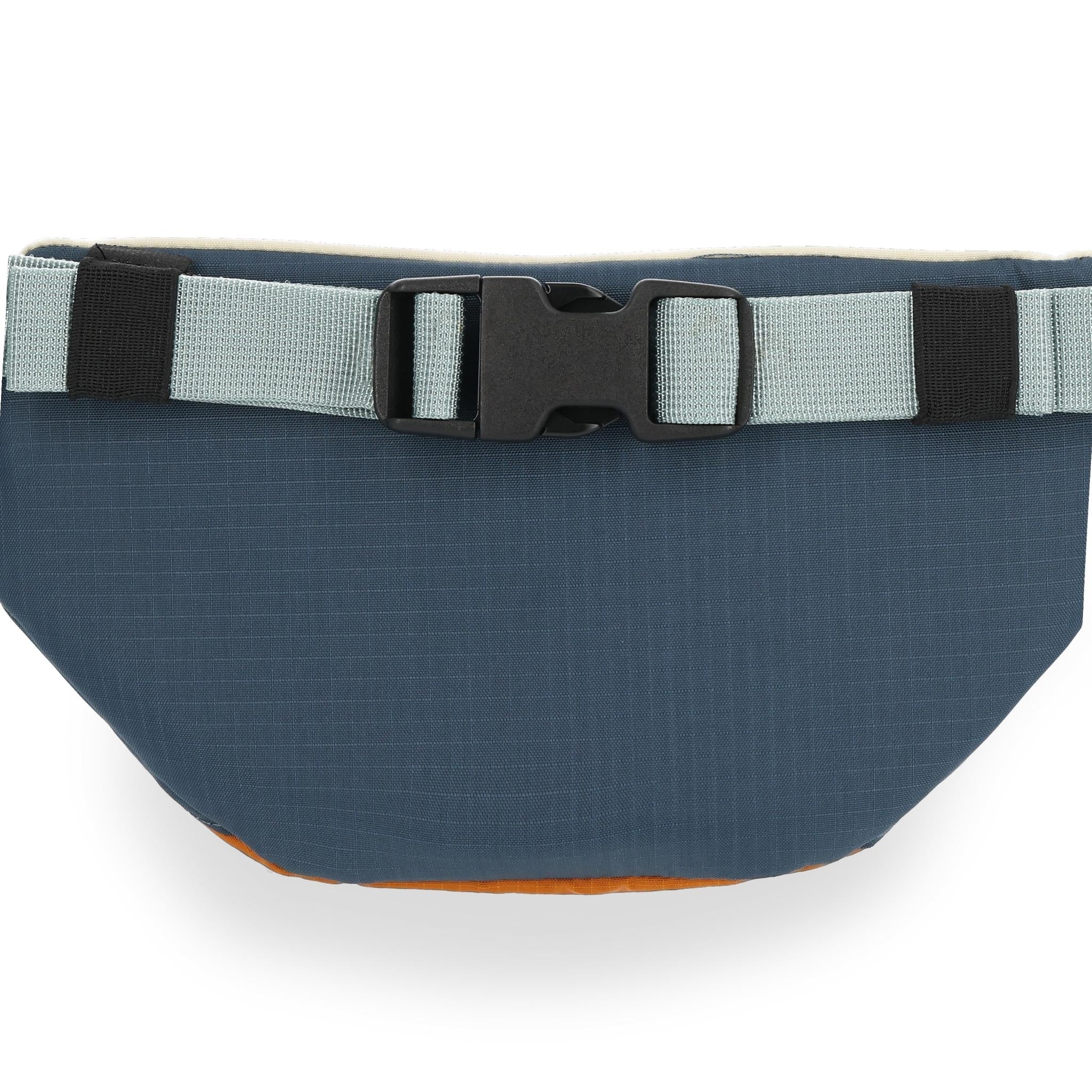Mountain Waist Pack