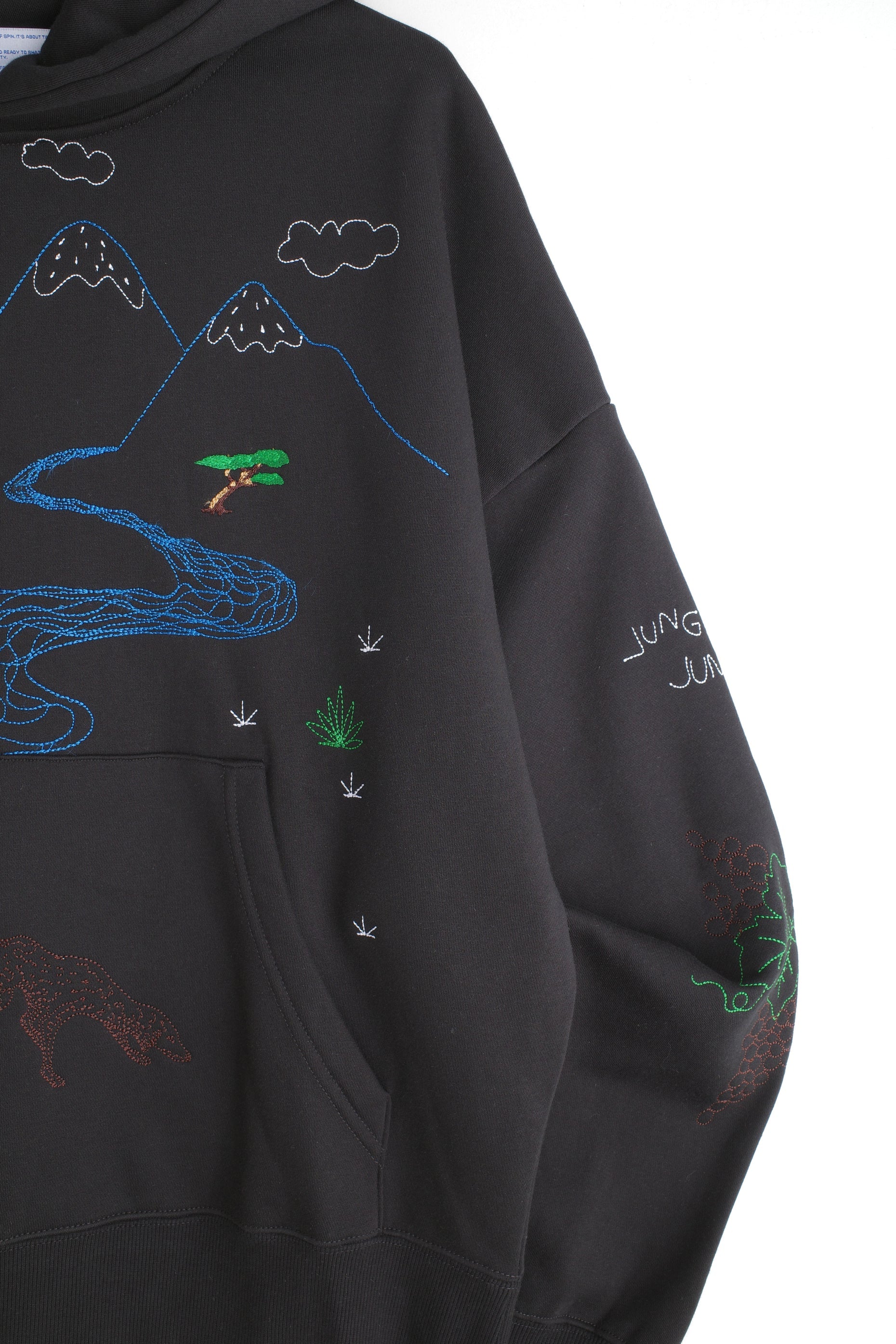 So Many Questions Hoodie
