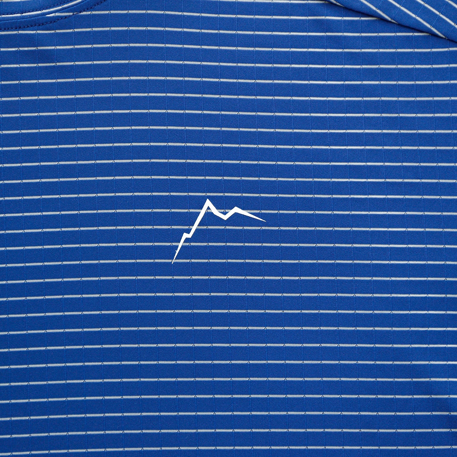 Stripe Logo Short Sleeve | Blue