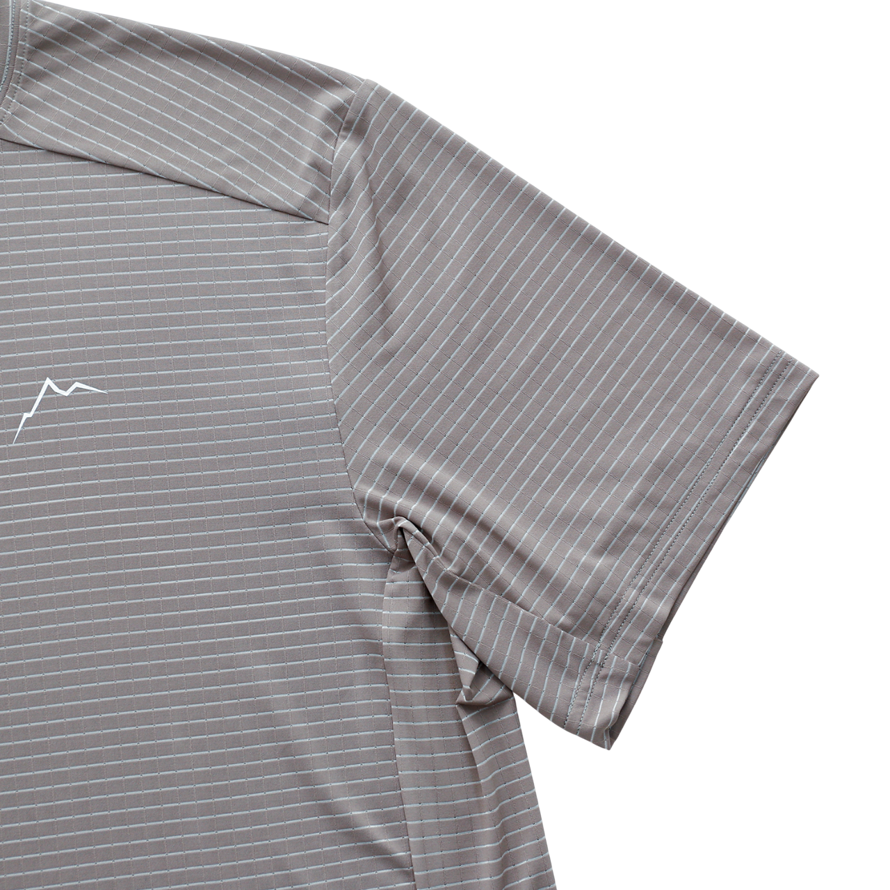 Stripe Logo Short Sleeve | Grey