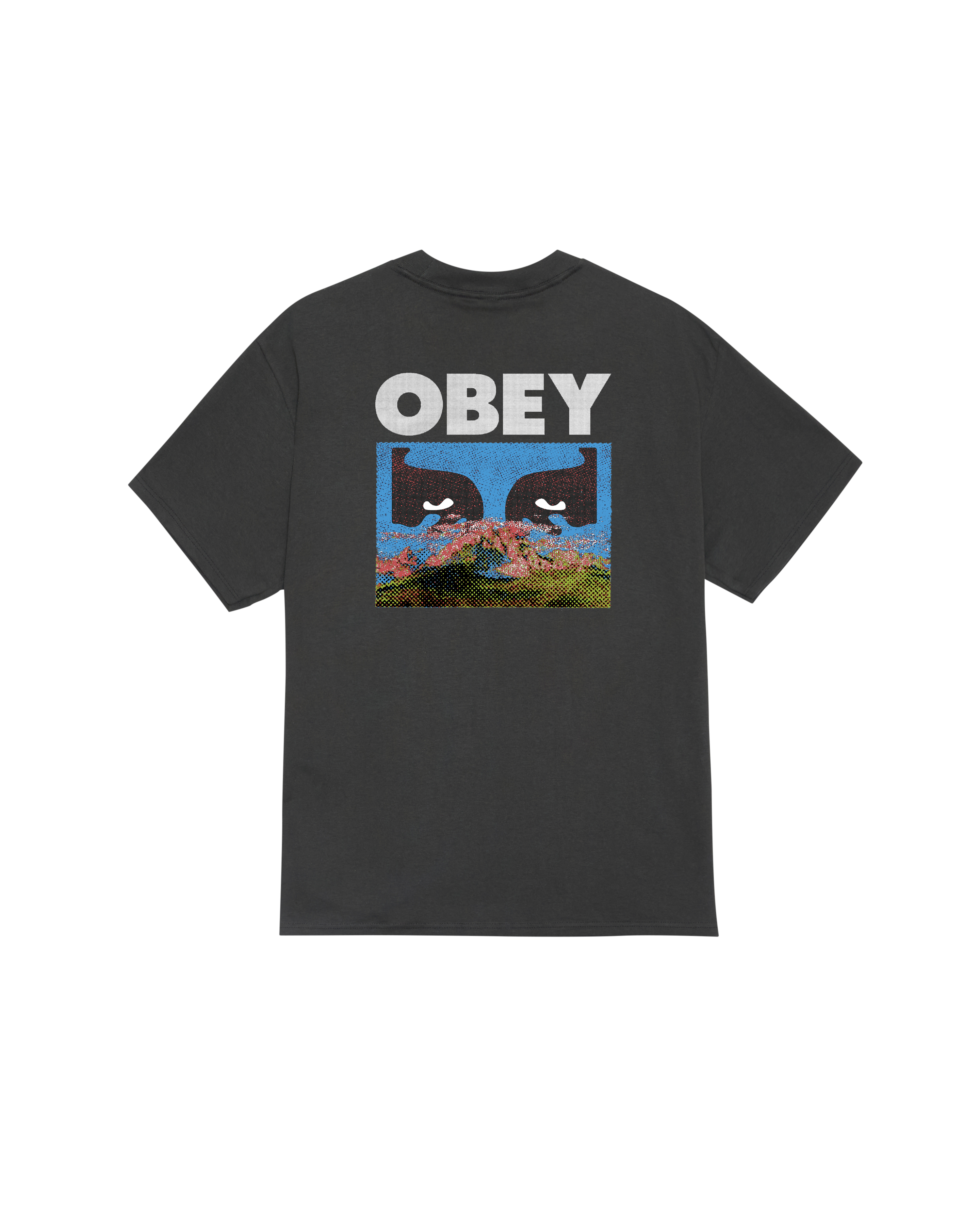 obey-in-a-different-place-classic-t-shirt-vintage-black