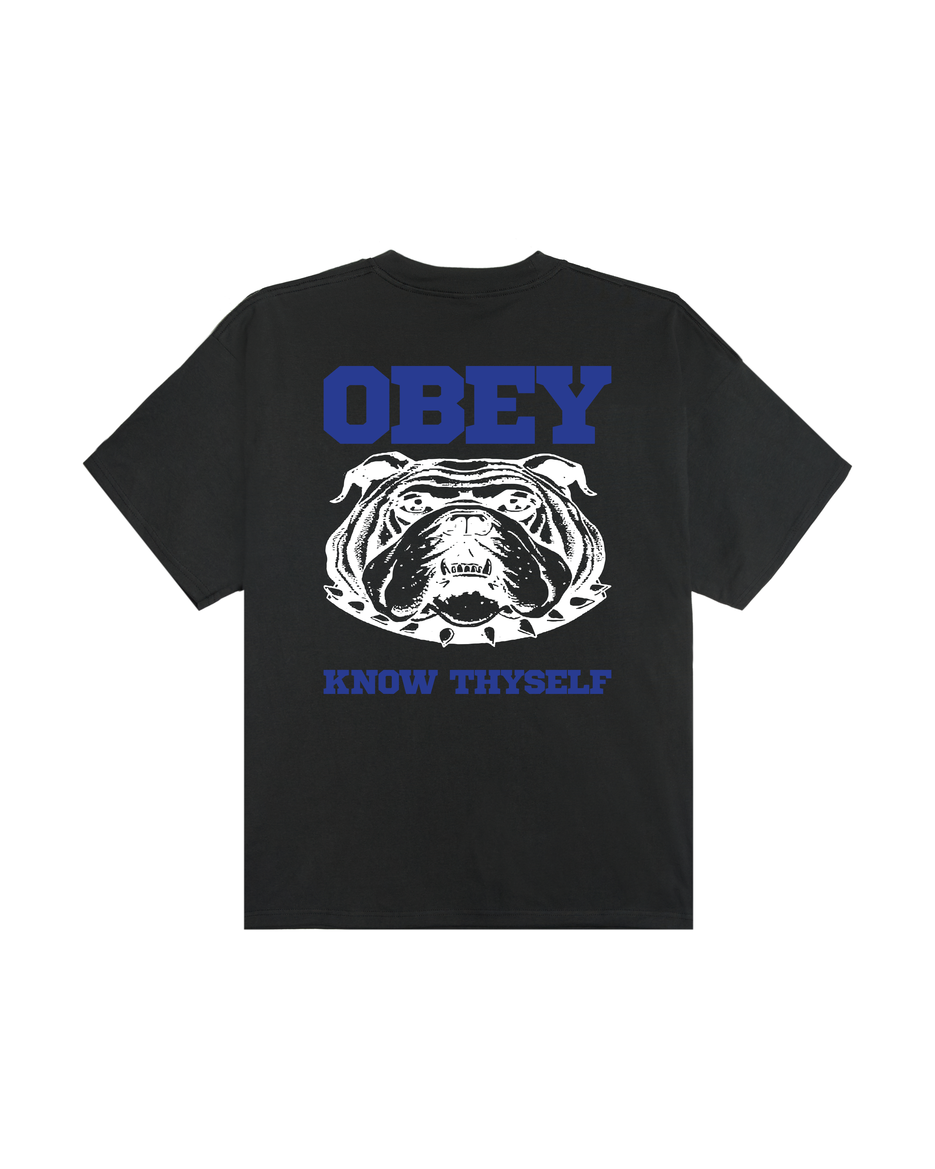 Know Thyself Heavyweight T-Shirt | Vintage Black