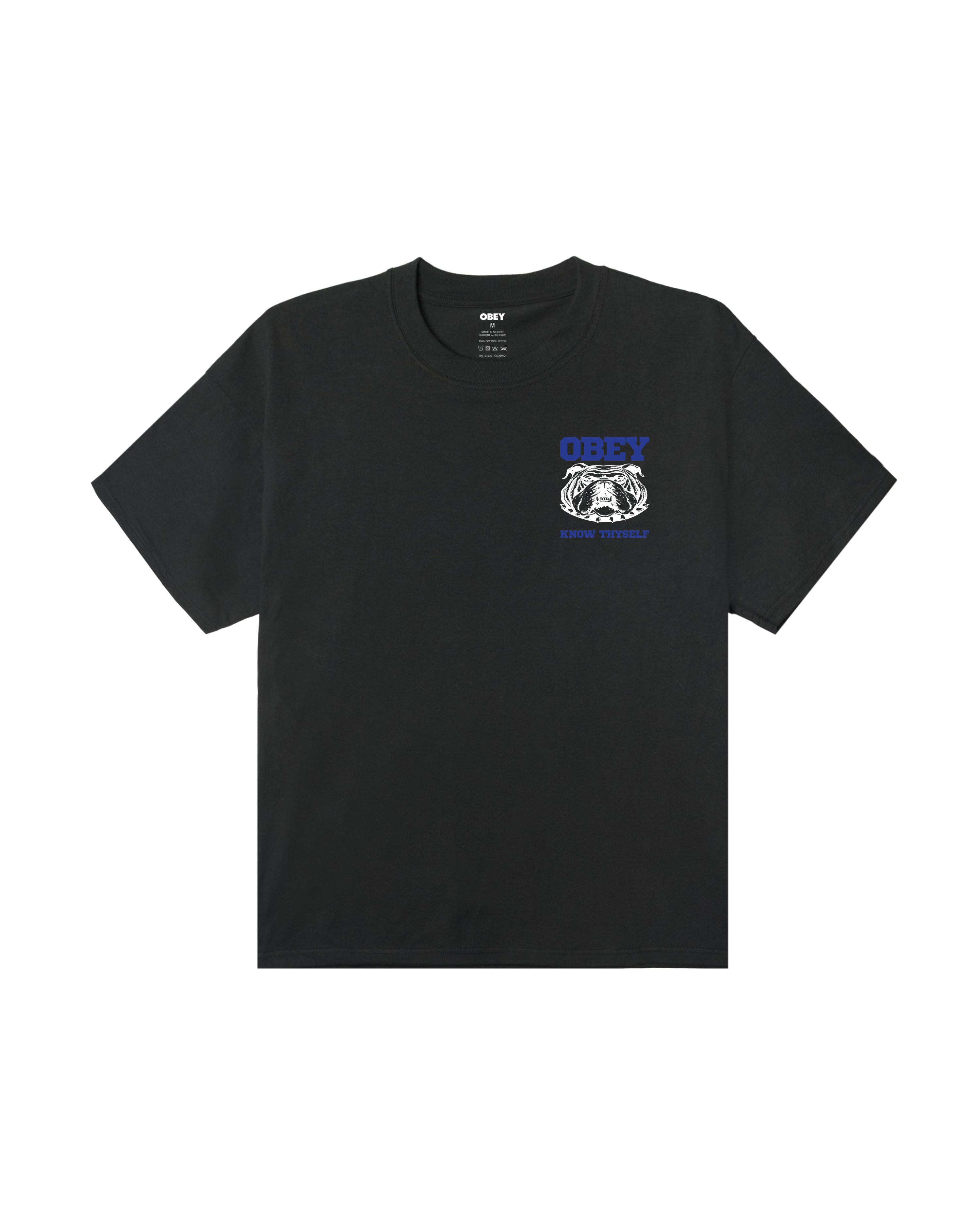 Know Thyself Heavyweight T-Shirt | Vintage Black