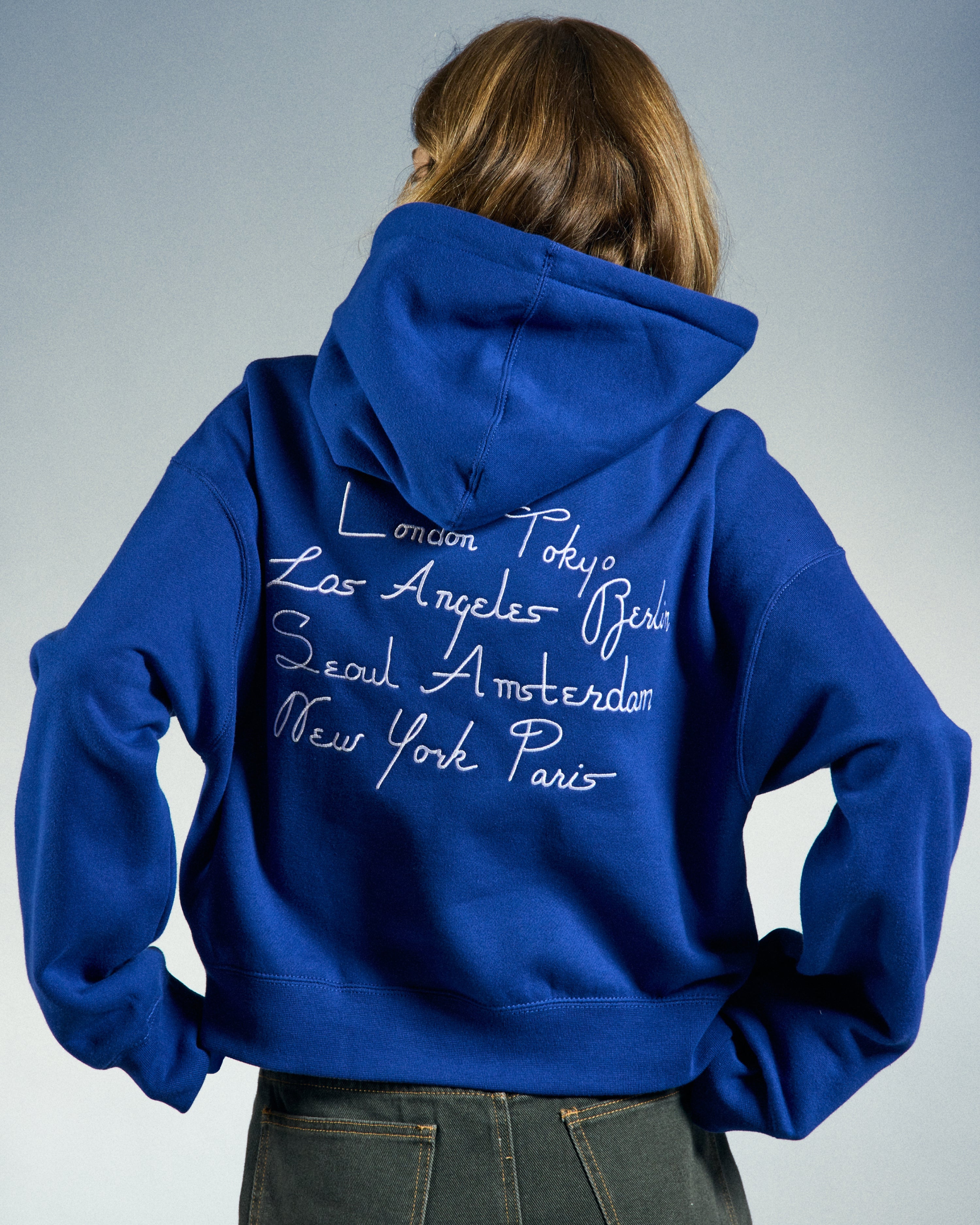 obey-cities-cropped-pullover-blue