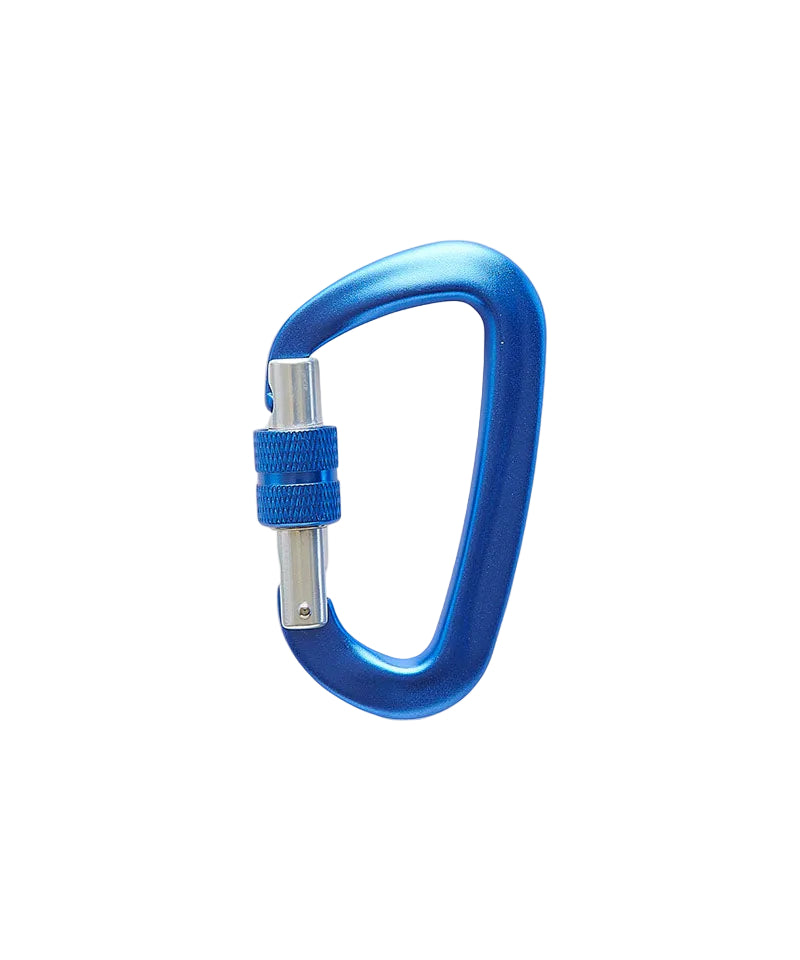 Carabiner | Blue