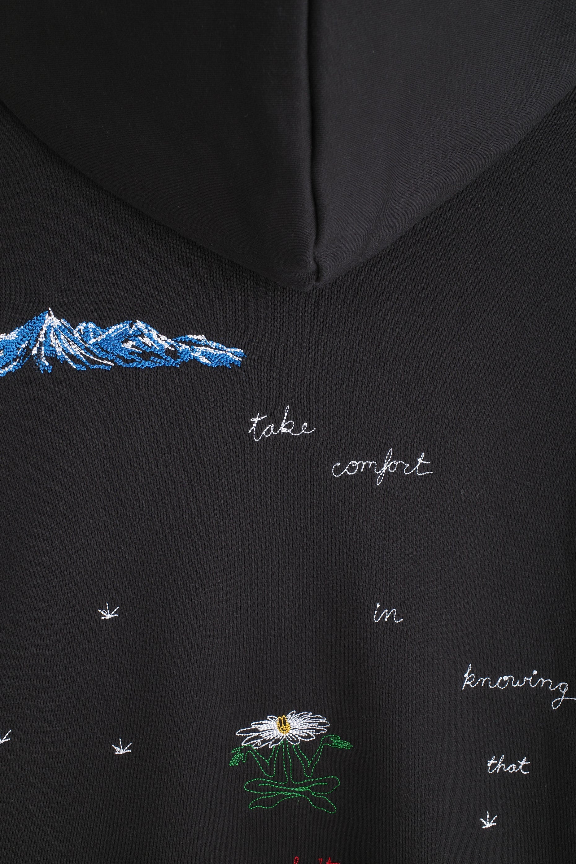 So Many Questions Hoodie