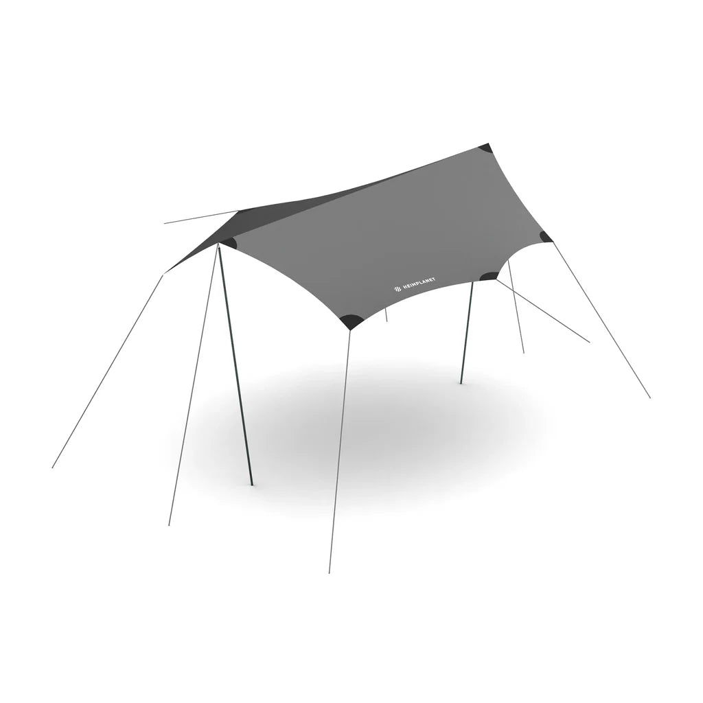 Dawn M Tarp, Grey