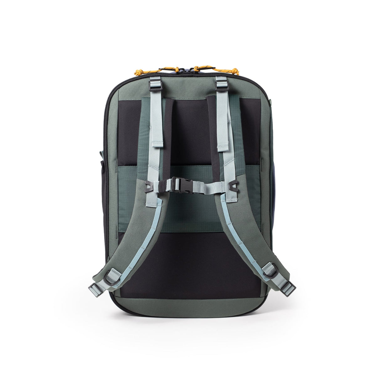 Global Travel Backpack