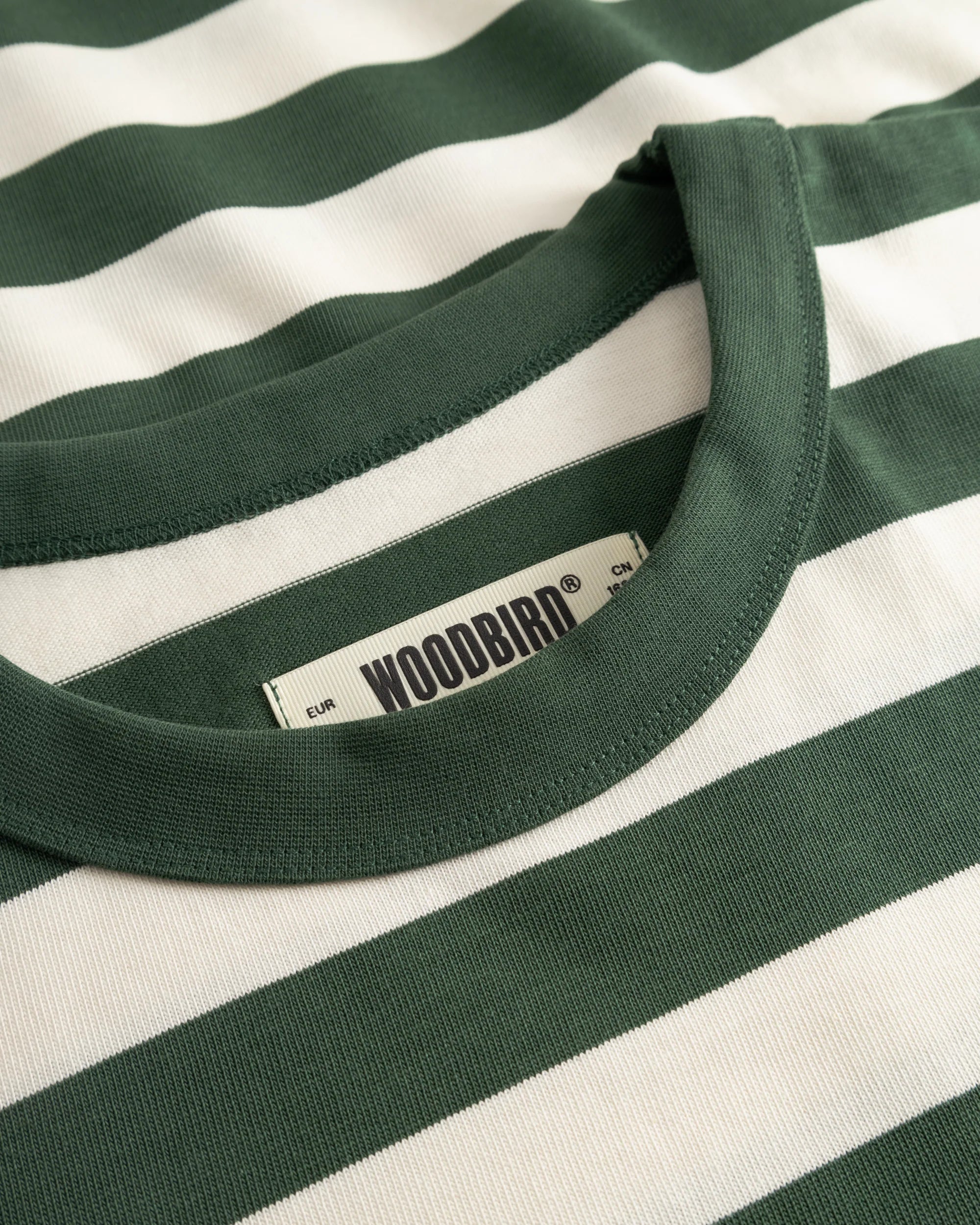 Beam Stripe Tee | Pine Green