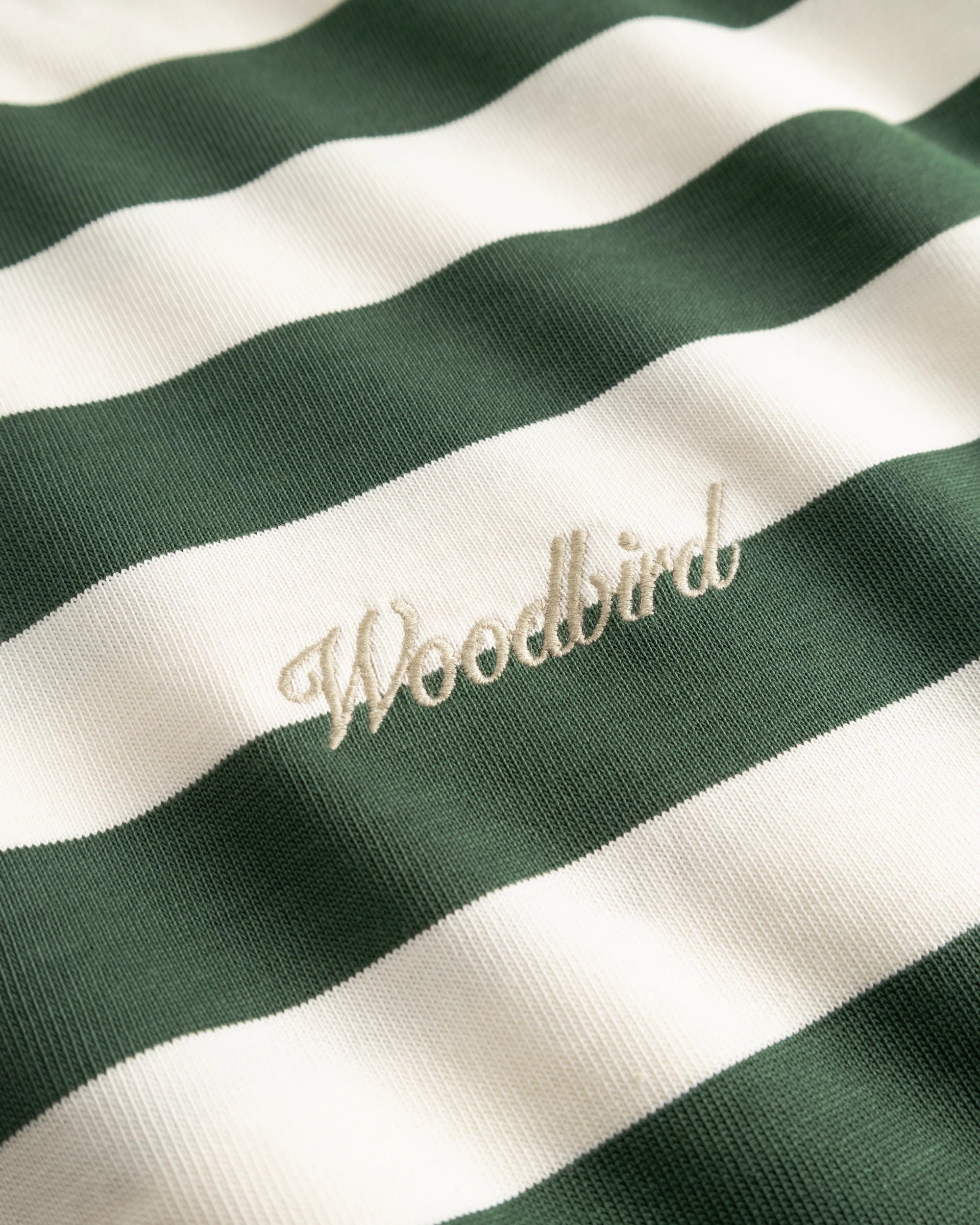 Beam Stripe Tee | Pine Green
